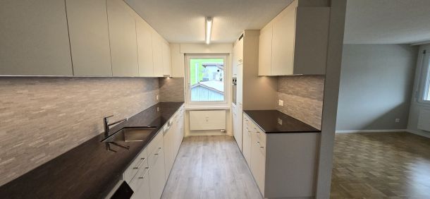 Schnueriger_Schreinerei_Innenausbau_Kueche_Referenz_Rappenmoeoesli